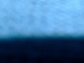 zamara_x
