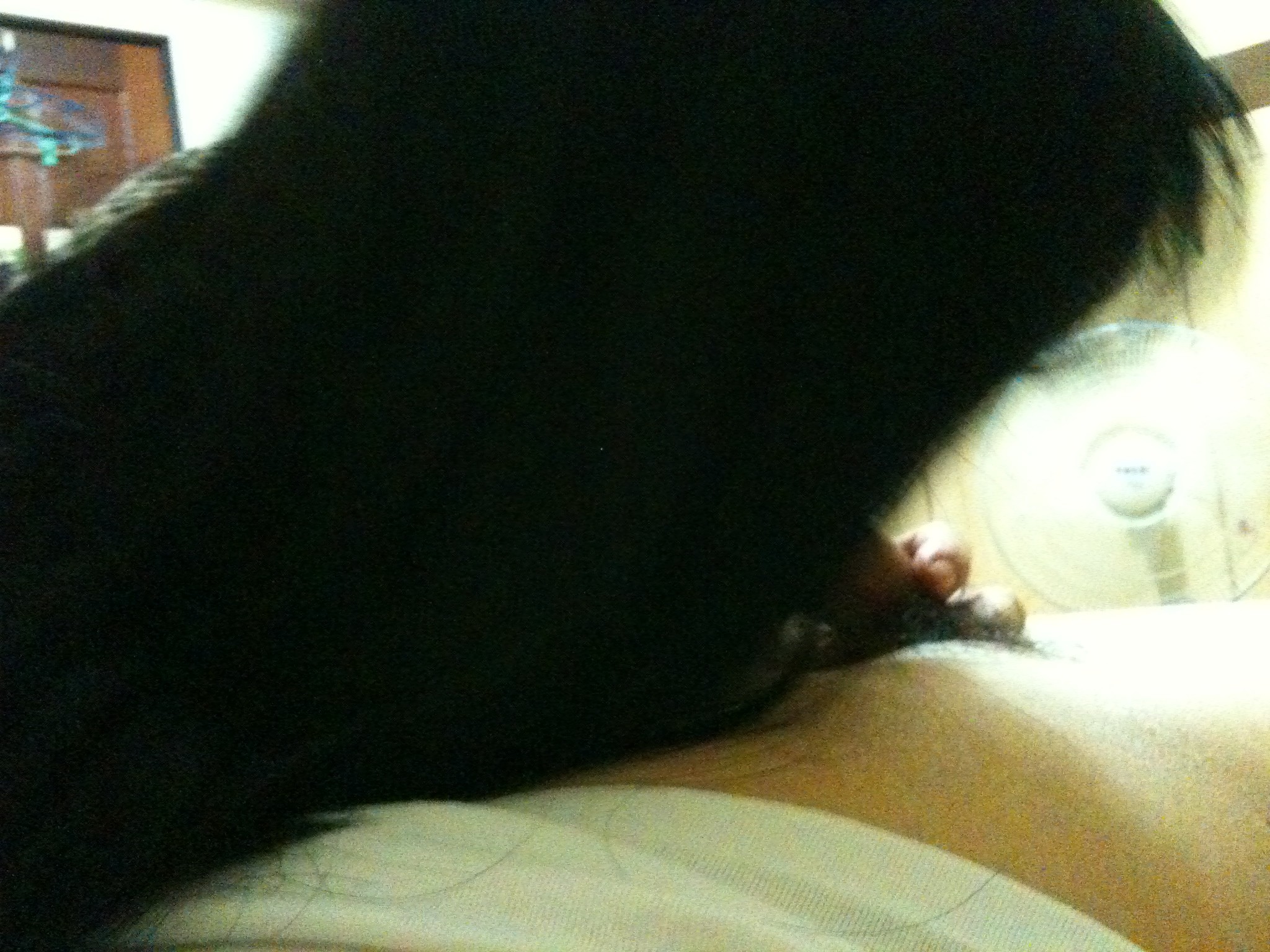 Chubby Hairy Cunt Asian Wife — 37
